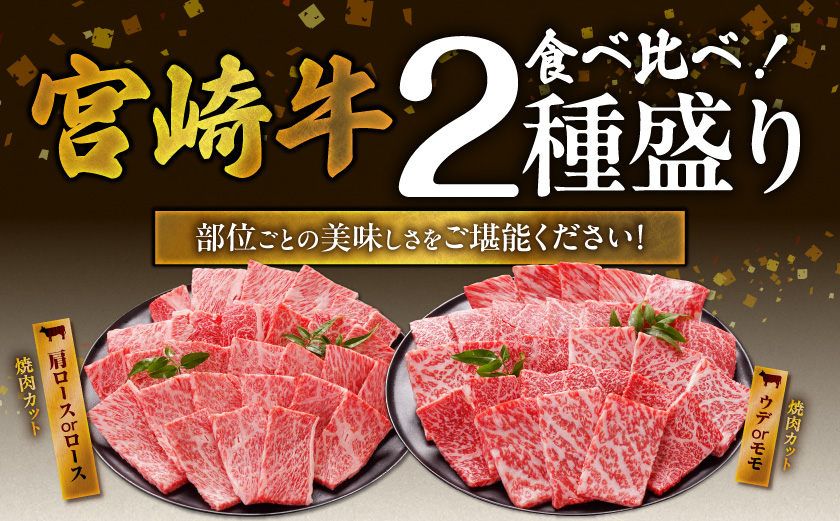 畜産農家応援! 宮崎牛焼肉2種セット500g×2パック_19E-N2-002-1000