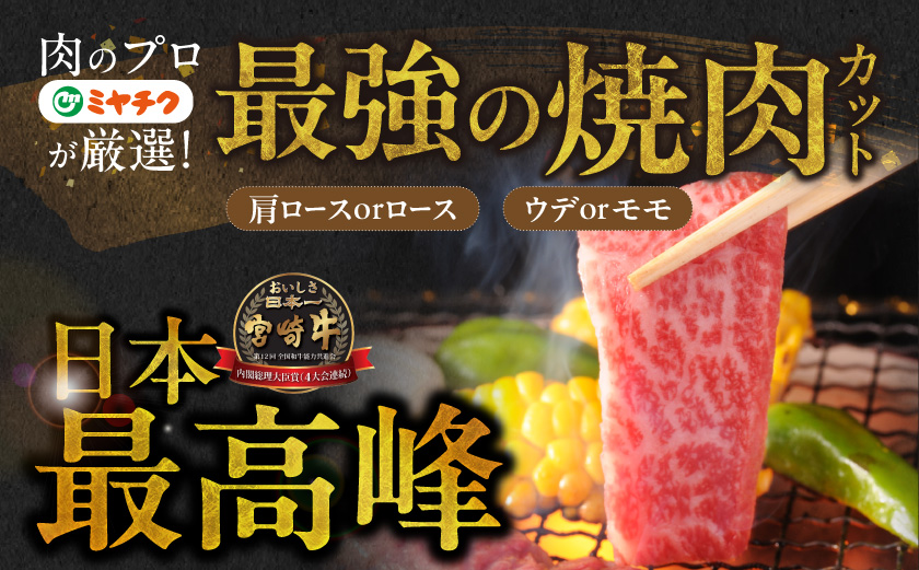畜産農家応援! 宮崎牛焼肉2種セット500g×2パック_19E-N2-002-1000