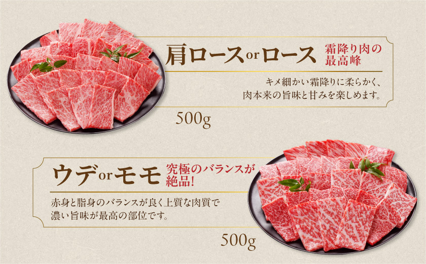 畜産農家応援! 宮崎牛焼肉2種セット500g×2パック_19E-N2-002-1000