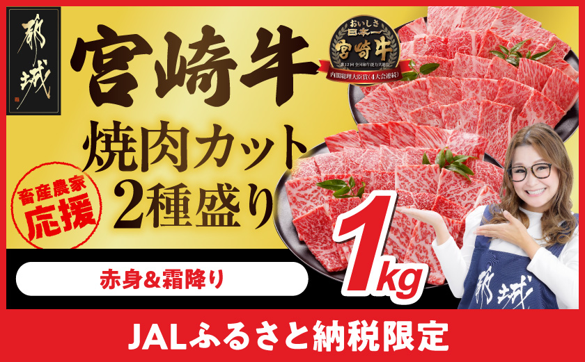 【JALふるさと納税限定】畜産農家応援! 宮崎牛焼肉2種セット500g×2パック_17-N202