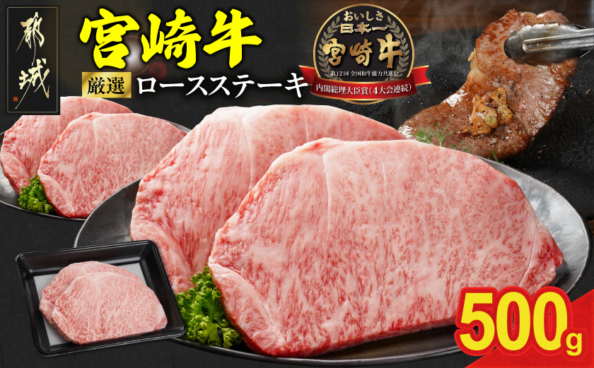 宮崎牛ロースステーキ2枚 計500g_MJ-N201