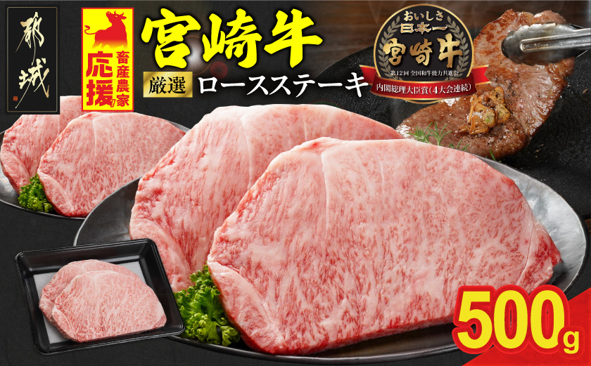 宮崎牛ロースステーキ2枚 計500g_17-N2-011-500g