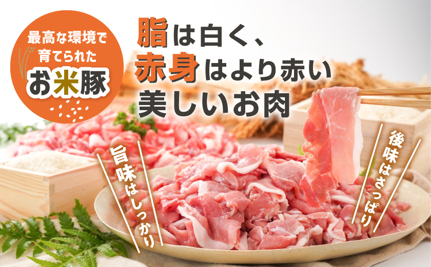 縲後♀邀ウ雎壹阪%縺セ蛻繧4.2kg(鮟偵◆繧御サ)_AC-3105