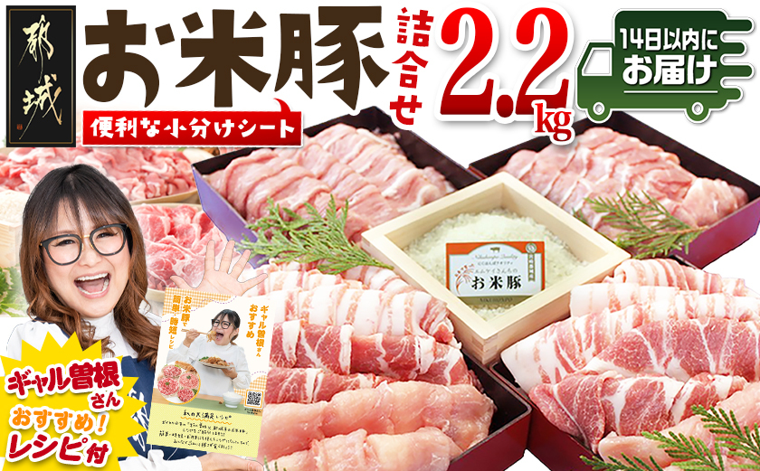 お米豚2.2kgセット≪みやこんじょ快速便≫_14-3101-R