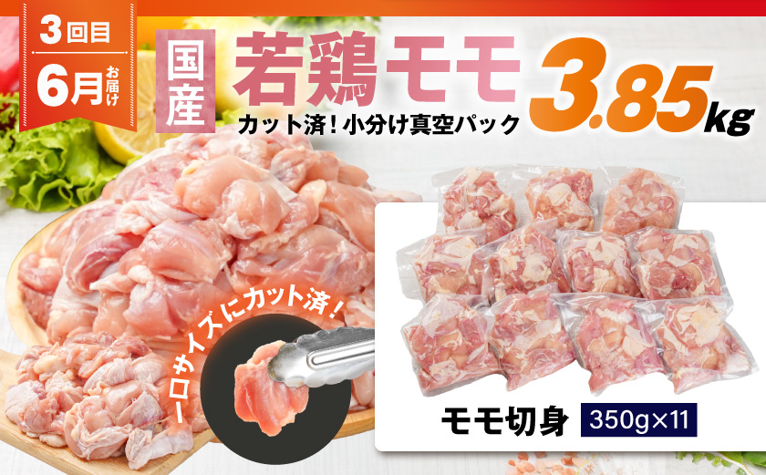 【事業者コラボ定期便】お肉のベストヒットリレー≪4～6月お届け≫_T60-MY04