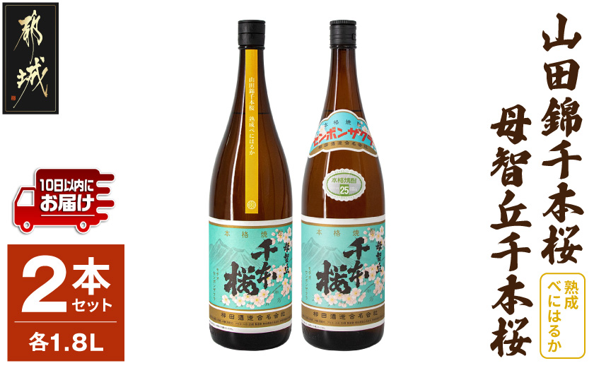 【柳田酒造】山田錦千本桜・母智丘 千本桜(25度)1.8L×2本 ≪みやこんじょ特急便≫_AC-0751_(都城市) 本格芋焼酎 熟成 お湯割/ロック/ソーダ割 伝統製法/老舗 家飲み/宅飲み 定番焼酎