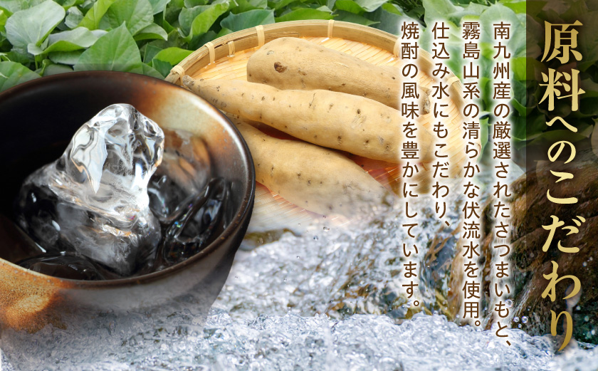 縲宣ス蝓朱帝縲代≠縺ェ縺溘↓縺イ縺ィ繧√⊂繧 闃(20蠎ヲ)1.8Lテ8譛ャ 竕ェ縺ソ繧縺薙s縺倥g迚ケ諤・萓ソ竕ォ_31-0790_(驛ス蝓主ク) 譛ャ譬シ闃狗┥驟 20蠎ヲ 1.8Lテ8譛ャ繧サ繝繝 繝代ャ繧ッ 驛ス蝓朱帝 縺繧ら┥驟 螳夂分辟シ驟