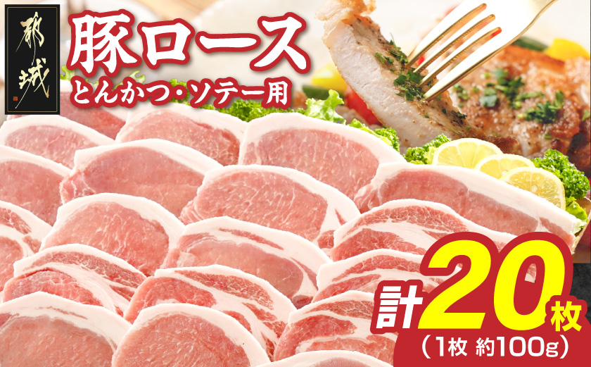 豚ロースとんかつ・ソテー用20枚 - _AA-2506_ ( 都城市 ) 豚肉 豚ロース とんかつ ソテー 100g×5枚×4パック 計20枚 豚 真空パック 冷凍保存