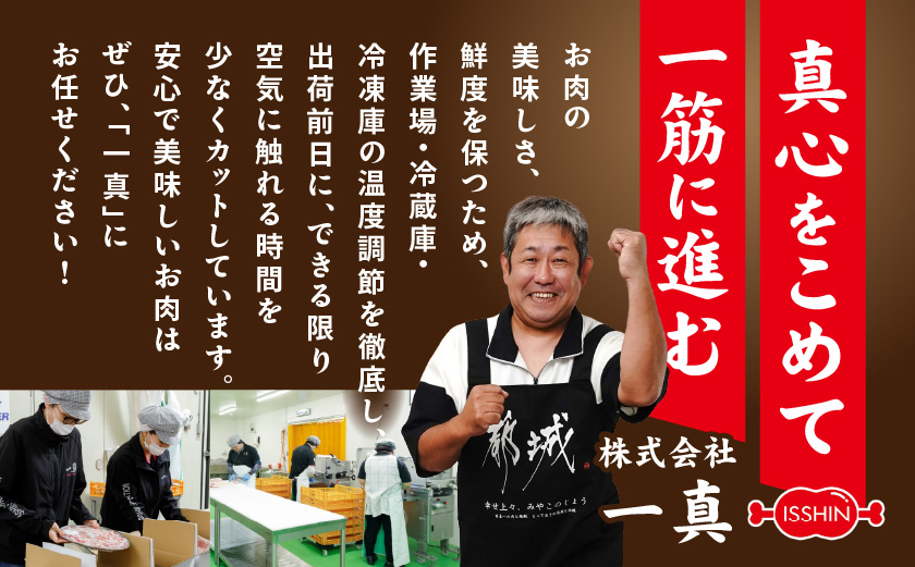 「高城の里」わくわく1.5kgセット(真空)≪みやこんじょ快速便≫_12-84-001-1500g-R