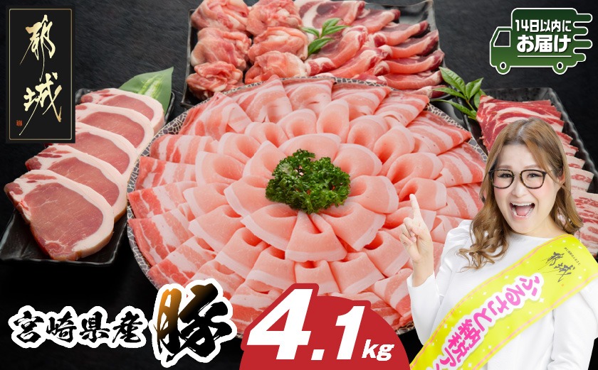 宮崎県産豚わくわく4.1kgセット(真空)≪みやこんじょ快速便≫_AC-8403-s-R