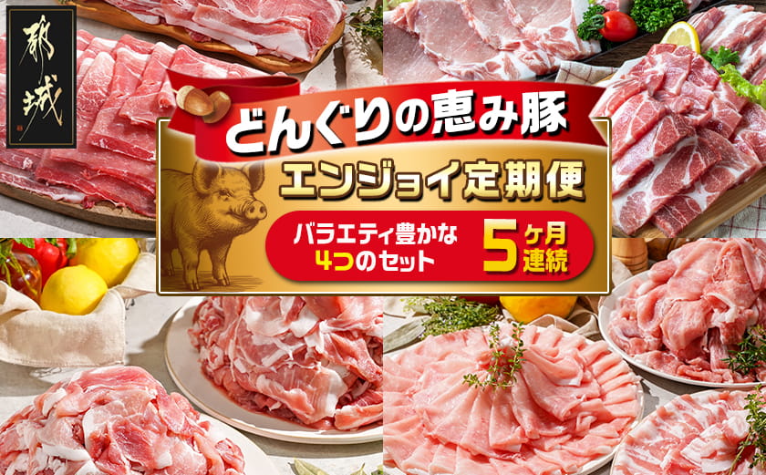 「どんぐりの恵み豚」エンジョイ定期便(5ヶ月)_T40(5)-1102