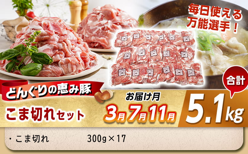 「どんぐりの恵み豚」エンジョイ定期便(10ヶ月)_T80(10)-1102_(都城市) スライスセット 焼肉 スペアリブ こま切れ しゃぶしゃぶセット ブランド豚 10ヶ月 毎月お届け 毎日のお料理に 都城市 豚肉 ロース バラ モモ ウデ スライス スペアリブ 切り落とし ステーキ しゃぶしゃぶ