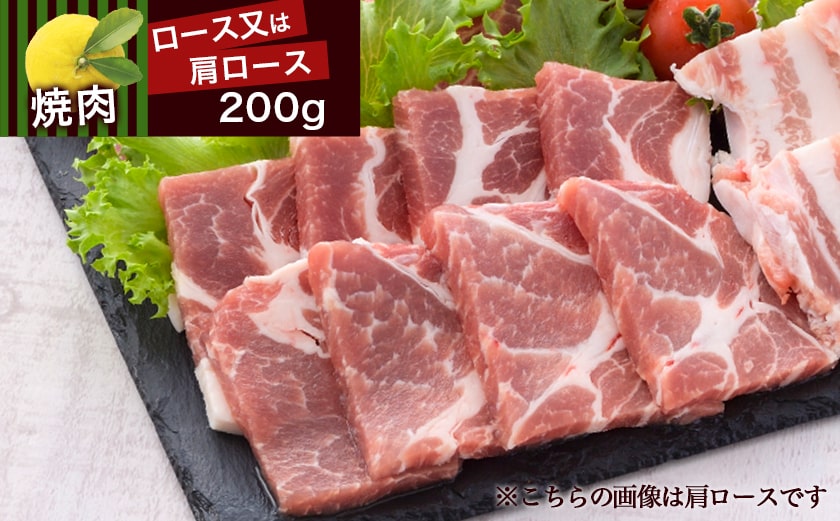 蜈ィ驛ィ逵溽ゥコ繝代ャ繧ッ!驛ス蝓守肇雎壹後f縺壹昴シ繧ッ縲阪ョ辟シ閧臥畑800g繧サ繝繝(繧縺夐「ィ蜻ウ縺ョ辟シ閧峨◆繧御サ倥″)竕ェ縺ソ繧縺薙s縺倥g迚ケ諤・萓ソ竕ォ_AA-1412-Q