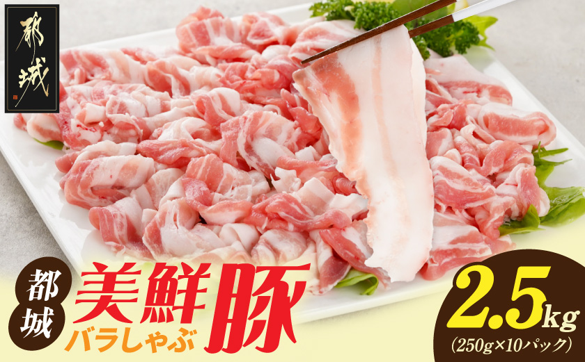 「都城美鮮豚」バラしゃぶ2.5kg_AC-5402_(都城市) 豚肉 ブランド豚 都城美鮮豚 銘柄豚 豚バラしゃぶしゃぶ肉 250g×10パック 2.5kg 炒め物 丼もの