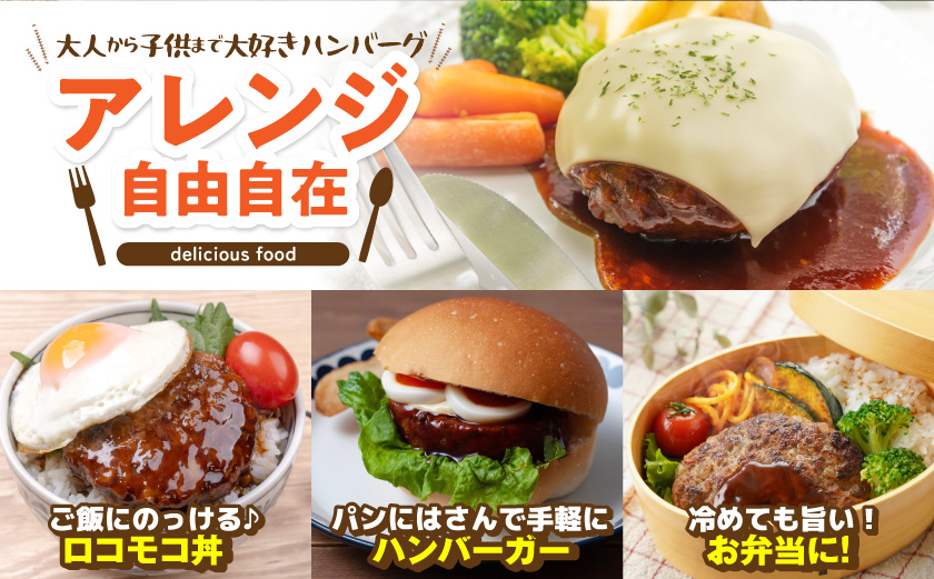 霧島黒豚 3種の煮込みハンバーグ 12個セット (デミグラスソース仕立て・和風おろしソース仕立て・大人の照焼きソース仕立て)_11-2803_(都城市) 脂身 厳選 霧島黒豚 じっくり 3種類 ソース ふっくら 煮込みハンバーグ 小分けセット！ ハンバーグ 豚肉