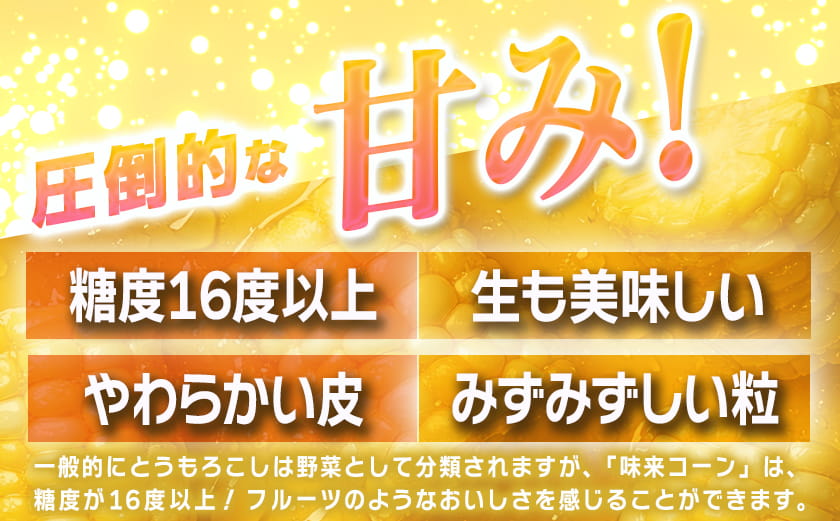 【先行受付】朝どれ!!都城産スイートコーン(味来コーン)5kg 15本以上_12-B401-6_(都城市) 朝どれ とうもろこし スイートコーン 5キロ 約15本以上 産地直送 みずみずしい あまい