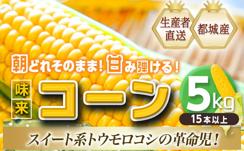 【先行受付】朝どれ!!都城産スイートコーン(味来コーン)5kg 15本以上_12-B401-6_(都城市) 朝どれ とうもろこし スイートコーン 5キロ 約15本以上 産地直送 みずみずしい あまい