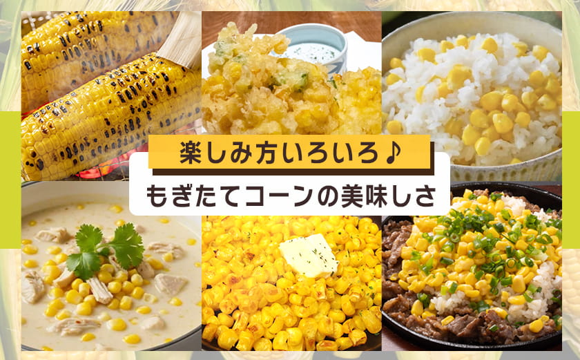 【先行受付】朝どれ!!都城産スイートコーン(味来コーン)5kg 15本以上_12-B401-6_(都城市) 朝どれ とうもろこし スイートコーン 5キロ 約15本以上 産地直送 みずみずしい あまい