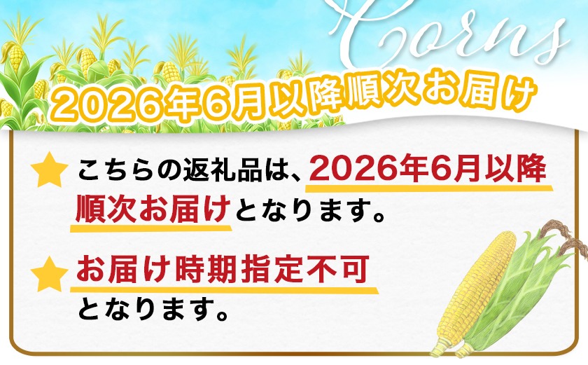 【先行受付】朝どれ!!都城産スイートコーン(味来コーン)5kg 15本以上_12-B401-6_(都城市) 朝どれ とうもろこし スイートコーン 5キロ 約15本以上 産地直送 みずみずしい あまい