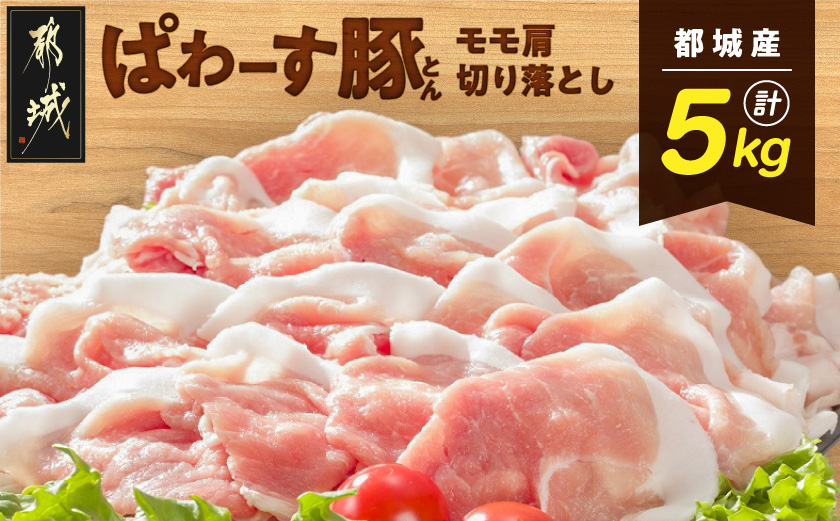 「ぱわーす豚」モモ肩切り落とし5kg_18-6404_(都城市) 都城産 豚肉 豚モモ肩切落とし肉(250g×20パック) 計5キロ ブランドポーク  真空パック 小分け