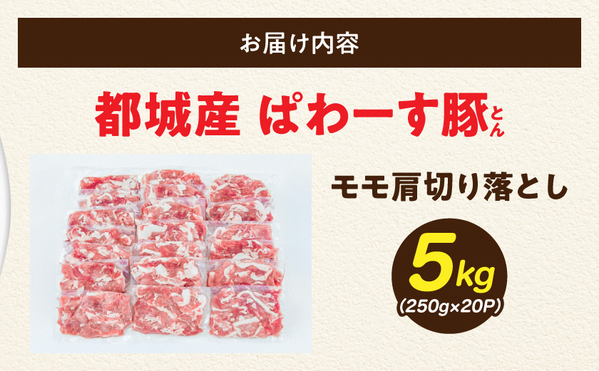 「ぱわーす豚」モモ肩切り落とし5kg_18-6404_(都城市) 都城産 豚肉 豚モモ肩切落とし肉(250g×20パック) 計5キロ ブランドポーク  真空パック 小分け
