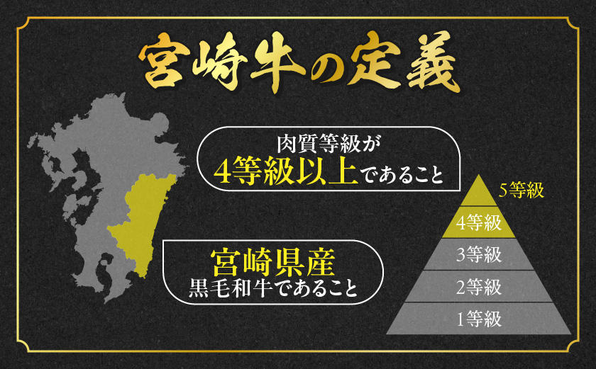 宮崎牛サーロインステーキ200g×2枚_18-4201_(都城市) 都城産宮崎牛 サーロインステーキ 200g×2枚 サーロイン ステーキ ギフト 贈答用