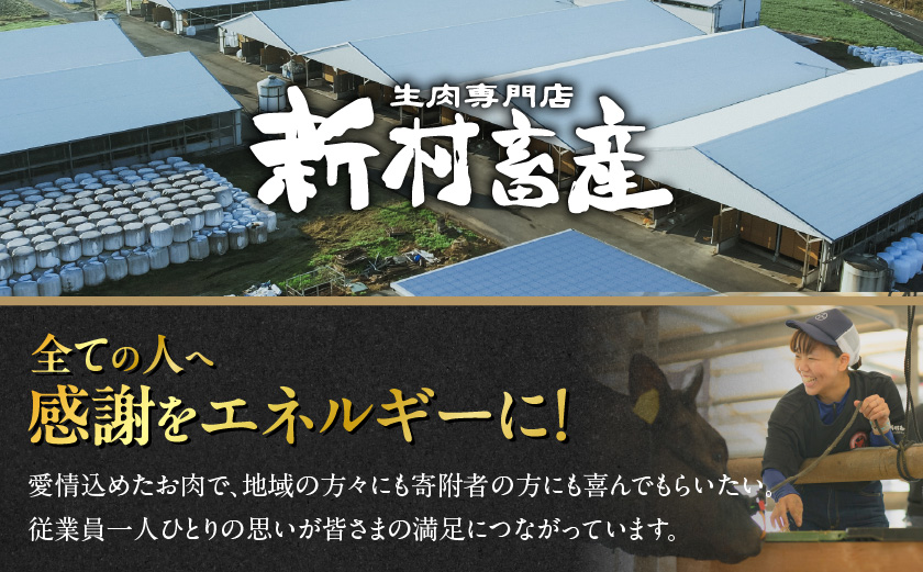 宮崎牛サーロインステーキ200g×2枚_18-4201_(都城市) 都城産宮崎牛 サーロインステーキ 200g×2枚 サーロイン ステーキ ギフト 贈答用
