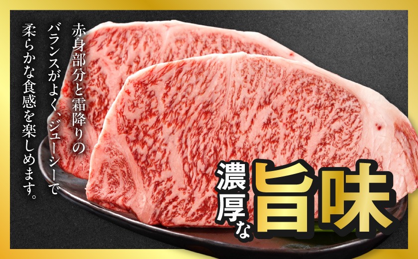 宮崎牛サーロインステーキ200g×2枚_18-4201_(都城市) 都城産宮崎牛 サーロインステーキ 200g×2枚 サーロイン ステーキ ギフト 贈答用