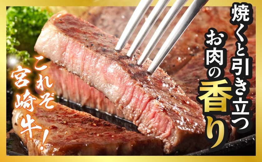 宮崎牛サーロインステーキ200g×2枚_18-4201_(都城市) 都城産宮崎牛 サーロインステーキ 200g×2枚 サーロイン ステーキ ギフト 贈答用