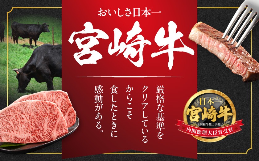 宮崎牛サーロインステーキ200g×2枚_18-4201_(都城市) 都城産宮崎牛 サーロインステーキ 200g×2枚 サーロイン ステーキ ギフト 贈答用