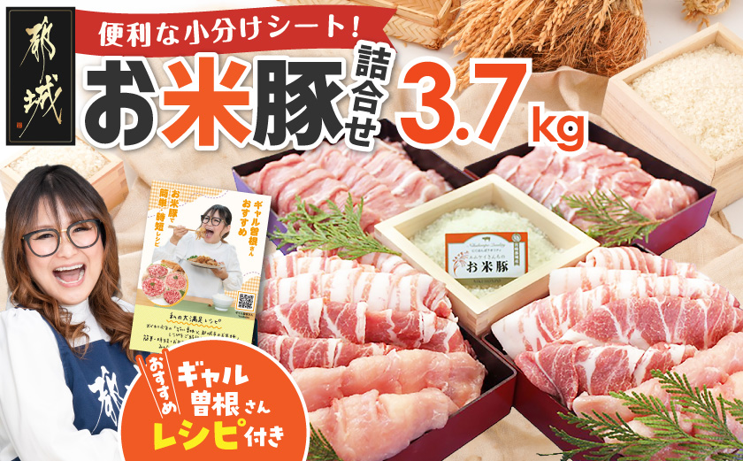 お米豚3.7kgセット_23-3101_(都城市) 豚肉 豚ロース 豚 こま切れ 切り落とし 豚バラ 豚肩ロース ブランド豚 小分け スライス肉 シート仕切り