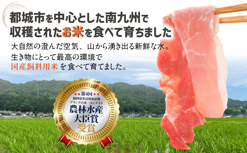 お米豚3.7kgセット≪みやこんじょ快速便≫_23-3101-R_(都城市) 豚肉 豚ロース 豚こま切れ 豚バラ肉 豚肩ロース ブランド豚 小分け シート仕切り スライス肉 14日以内にお届け  ギャル曽根さんおすすめの豚肉返礼品