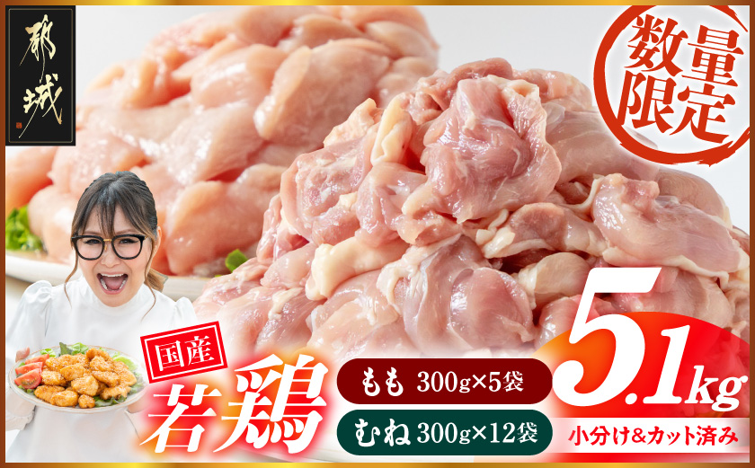注目返礼品！国産若鶏5.1kg 小分けパック!カット済み!(もも300g×5P・むね300g×12P)_14E-33-007-N5100g 鶏肉