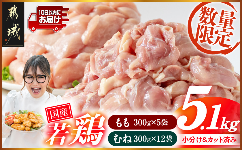 注目返礼品！国産若鶏5.1kg 小分けパック!カット済み!(もも300g×5P・むね300g×12P)≪みやこんじょ特急便≫_14E-33-007-N5100g-Q 鶏肉