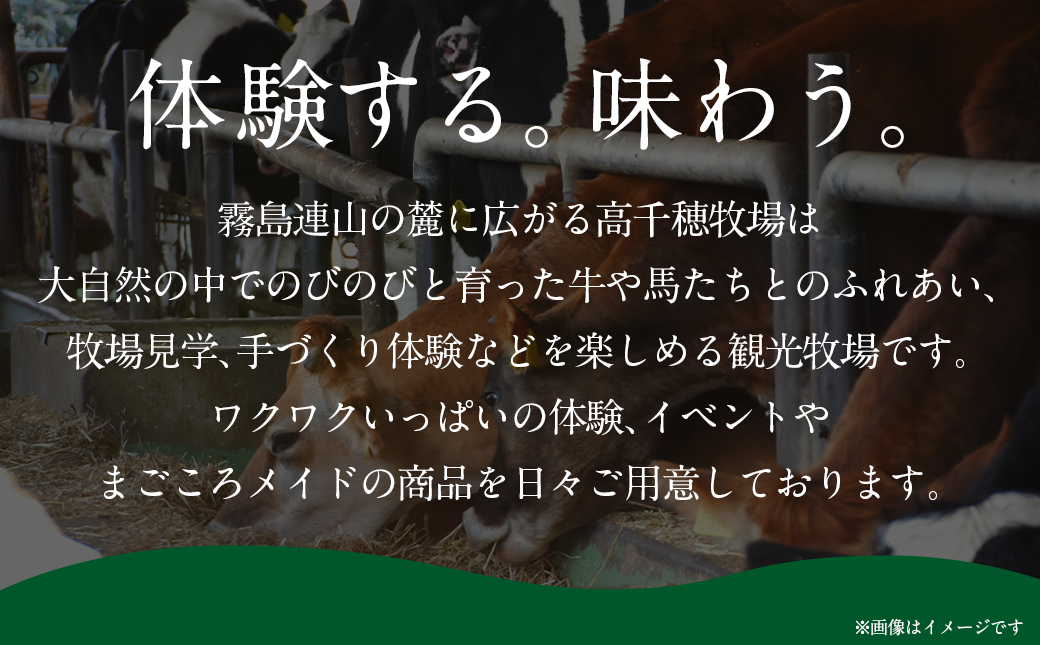 高千穂牧場乳製品セット(プリン付き)《ご入金翌月の中旬〜下旬の水曜日頃出荷》_MJ-1615