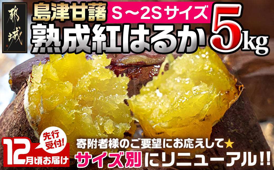 先行受付!【12月お届け】島津甘藷　熟成紅はるか 5kg(S〜2S)_LD-A701-m-12