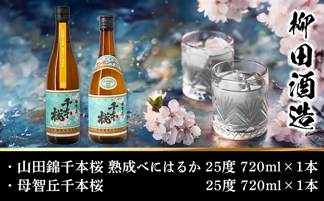 【柳田酒造】山田錦千本桜・母智丘千本桜(25度)720ml×2本 ≪みやこんじょ特急便≫_AA-0751