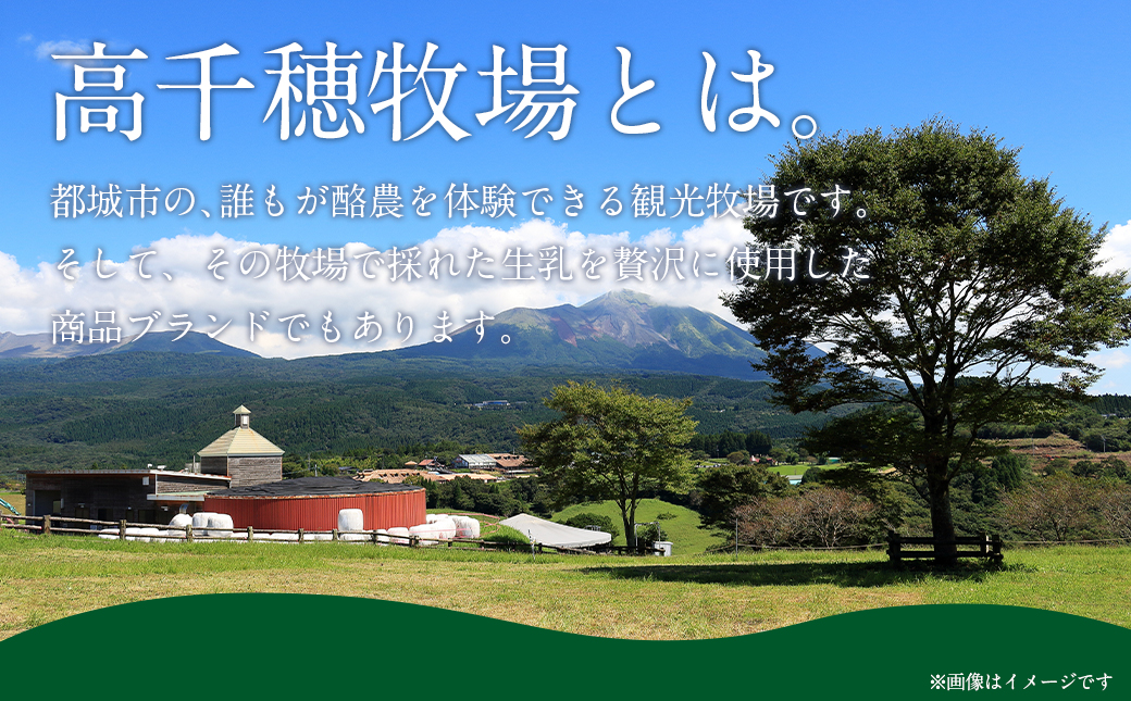 高千穂牧場乳製品セット(プリン付き)《ご入金翌月の中旬〜下旬の水曜日頃出荷》_MJ-1615