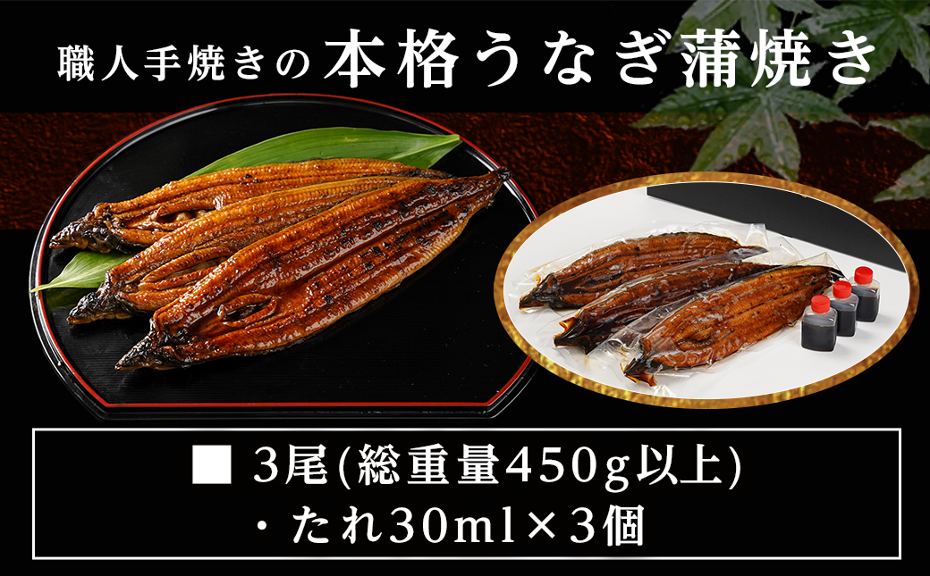 職人手焼きの本格うなぎ蒲焼き3尾_AC-3301