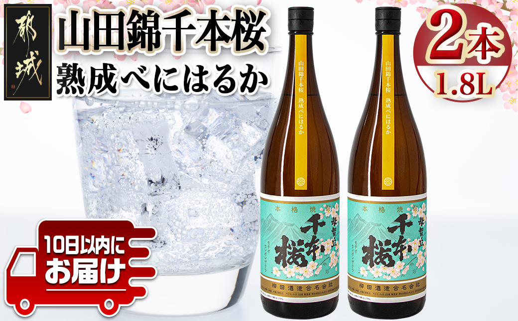 【柳田酒造】山田錦千本桜 熟成べにはるか(25度)1.8L×2本 ≪みやこんじょ特急便≫_AC-0750