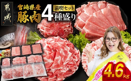 宮崎県産豚肉たっぷり4.6kgセット(CP)_AC-N202-CP