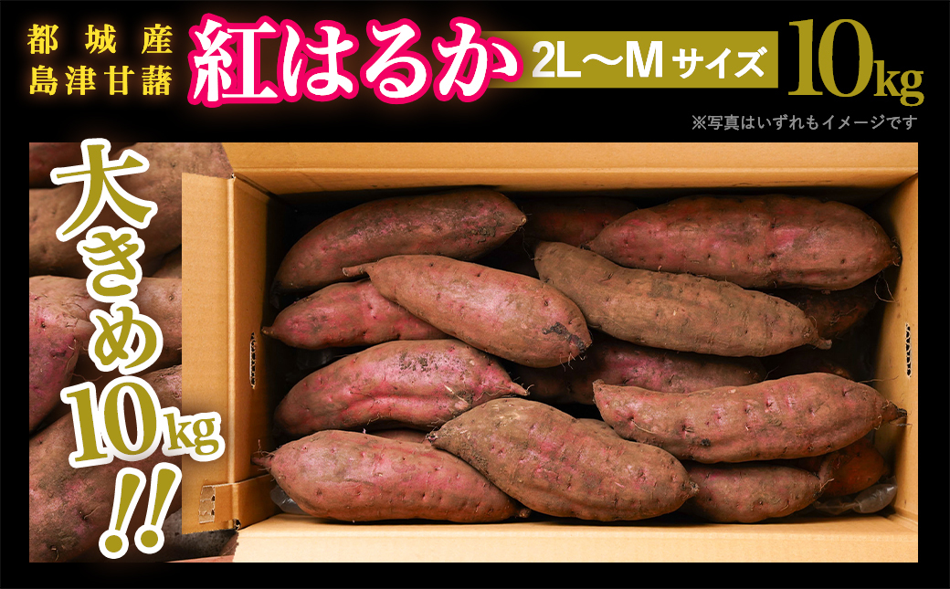 島津甘藷　熟成紅はるか 10kg(2L～M)_AA-A701