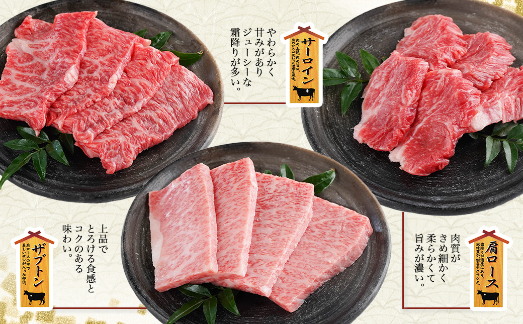 【数量限定】宮崎牛9種盛り焼肉セット_22-3101