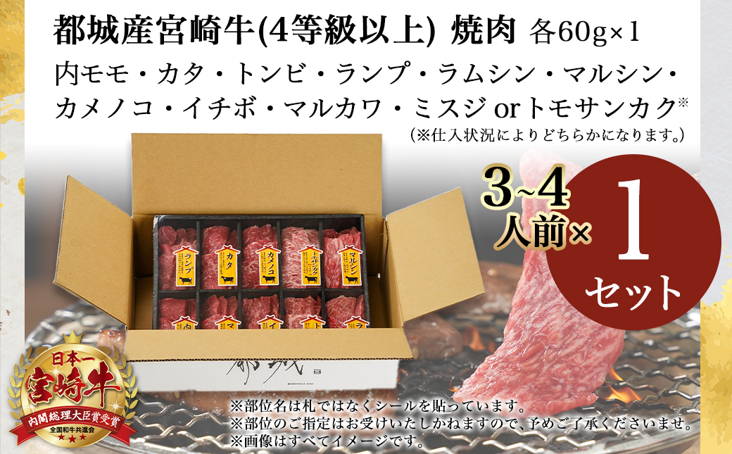 宮崎牛食べ比べ10種盛り焼肉セット_17-3102