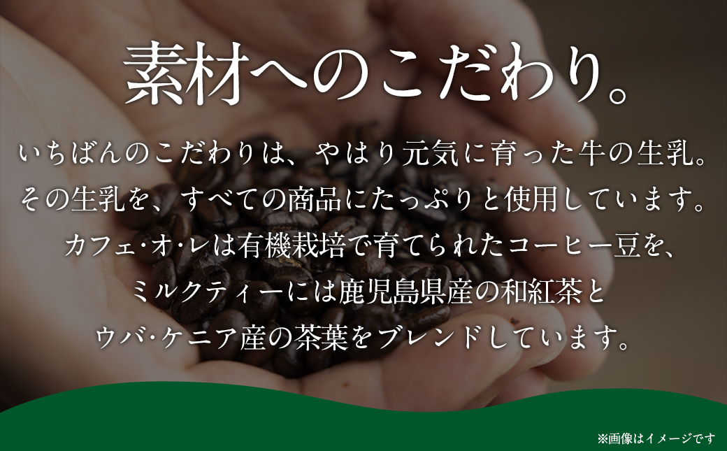 高千穂牧場乳製品セット(プリン付き)《ご入金翌月の中旬〜下旬の水曜日頃出荷》_MJ-1615