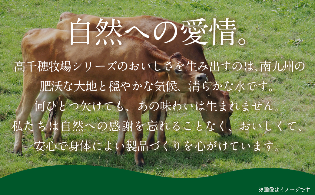 高千穂牧場乳製品セット(プリン付き)《ご入金翌月の中旬〜下旬の水曜日頃出荷》_MJ-1615