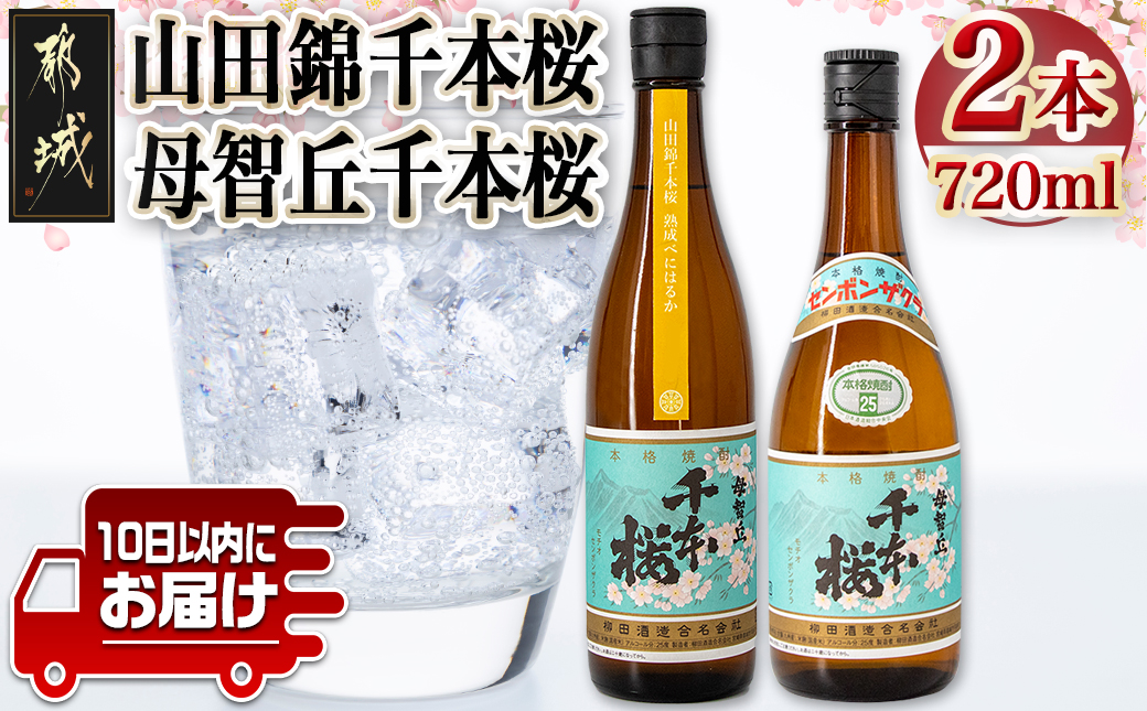 【柳田酒造】山田錦千本桜・母智丘千本桜(25度)720ml×2本 ≪みやこんじょ特急便≫_AA-0751