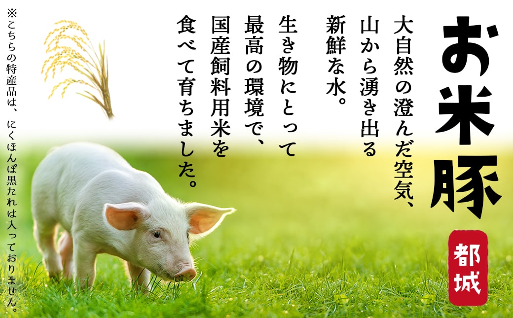 お米豚3.7kgセット_17-3101