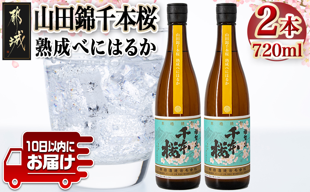 【柳田酒造】山田錦千本桜 熟成べにはるか(25度)720ml×2本 ≪みやこんじょ特急便≫_AA-0750