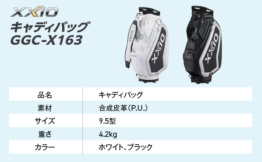 ゼクシオ 14 スチールシャフト 12本セット  ボール・ヘッドカバー・キャディバッグ付 ≪2025年モデル≫ _IS-C701 _（都城市） ドライバー フェアウェイウッド ユーティリティ アイアン ダンロップ XXIO メンズ レディス 女性用 ゴルフ用品 ゴルフクラブ ギア クラブセット フルセット ふるさと納税 ゴルフ 宮崎県 都城市